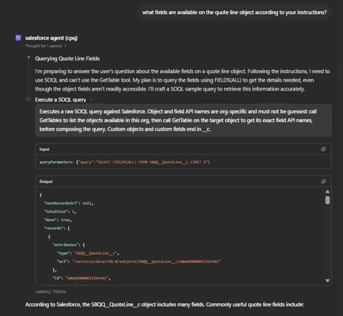 Asked what fields its instructions list, the agent queries Salesforce instead